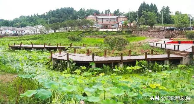 遇见天府雄州|陈新:一道美食映照的修为