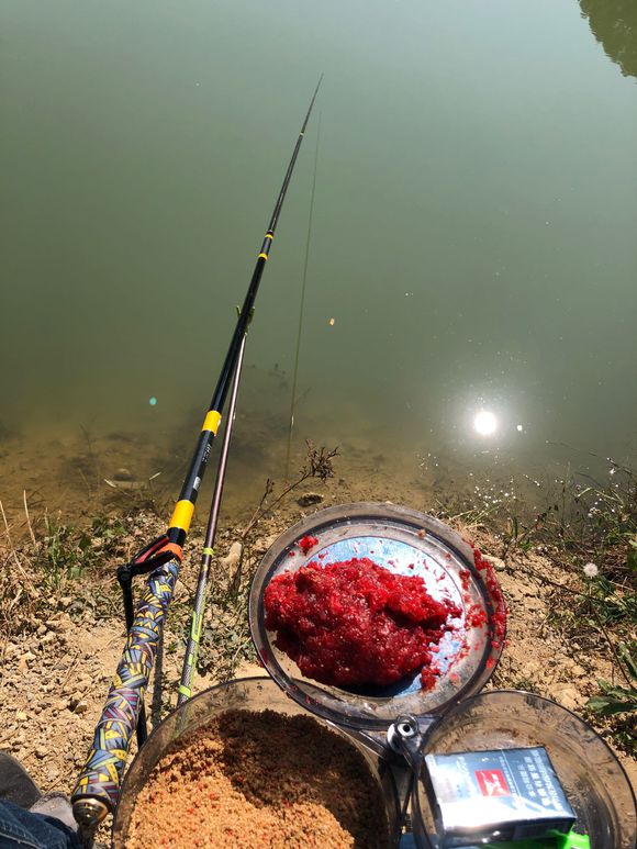 重窝鱼不开口怎么回事,窝里鱼很多就是不开口