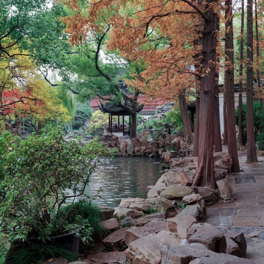 中国园林第一人，每个中国人都该谢谢他