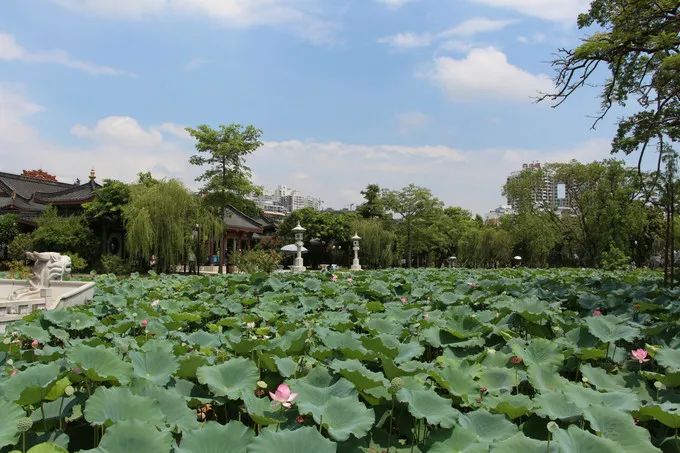 多少天能玩遍广东5a景区,广东5a旅游景点大全推荐图