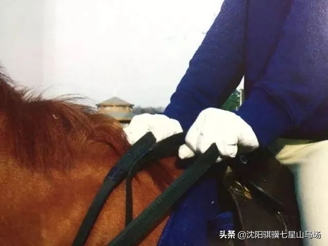 沈阳七星山马会攻略,沈阳七星山骑马攻略