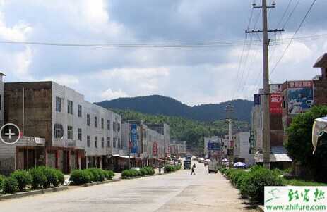 乡镇创业项目排行榜前十名,小县城投资小的创业项目推荐