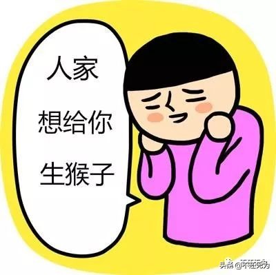 养宠物猴子,养宠物为什么不能养猴子