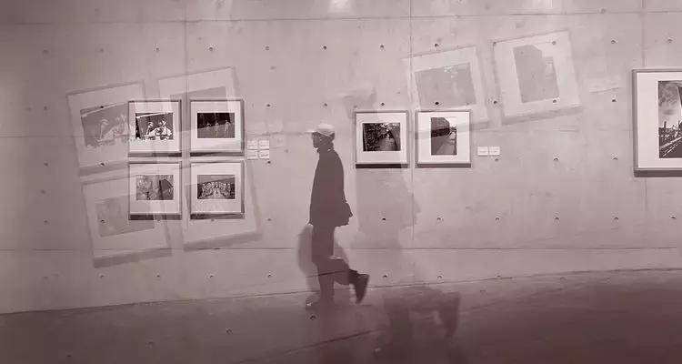 网红一夜收入千万,网红一夜之间一无所有