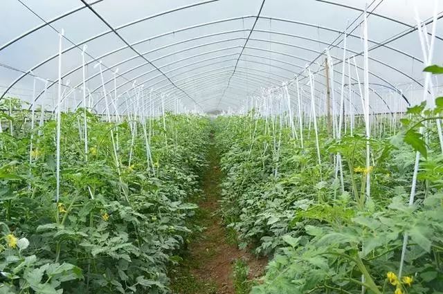 榆林家庭农场注册流程,网上注册家庭农场的全部流程