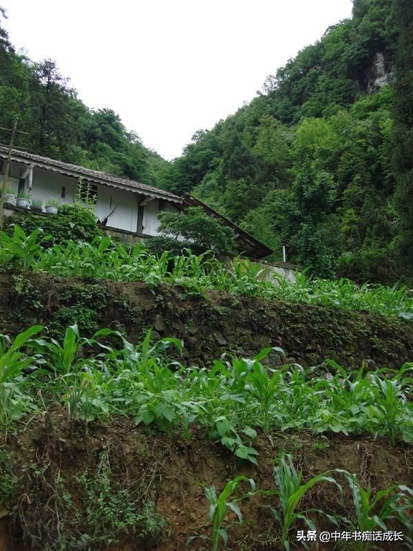 40年老屋被拆后续,四世同堂的老房子
