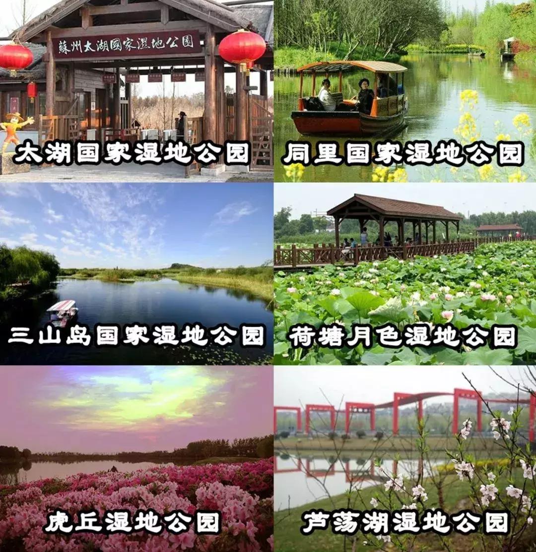 2020最强苏州旅游攻略出炉,来看看苏州到底有多强