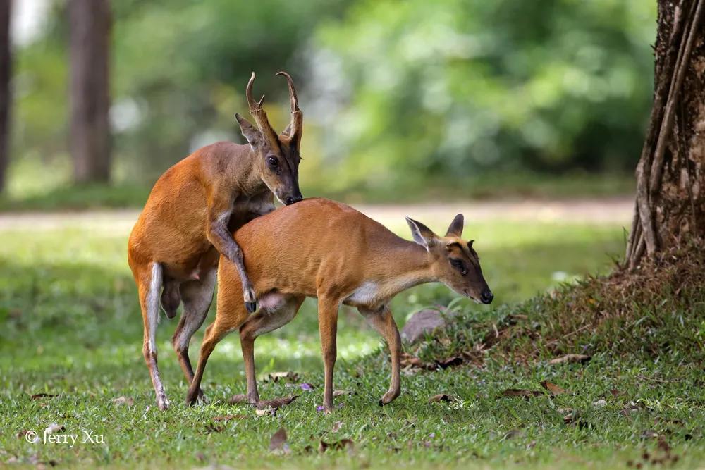 情人节适合干什么事,情人节对方做过最让你感动的事