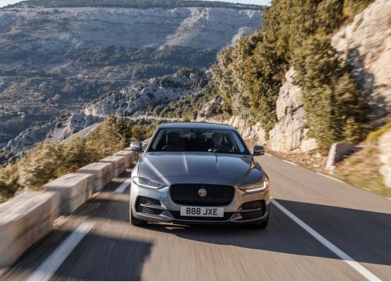 面对这样的“小豹子”,您还能管好自己的钱包吗?