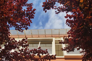 成都嘉祥外国语学校成华校区,成都嘉祥外国语学校天府校区