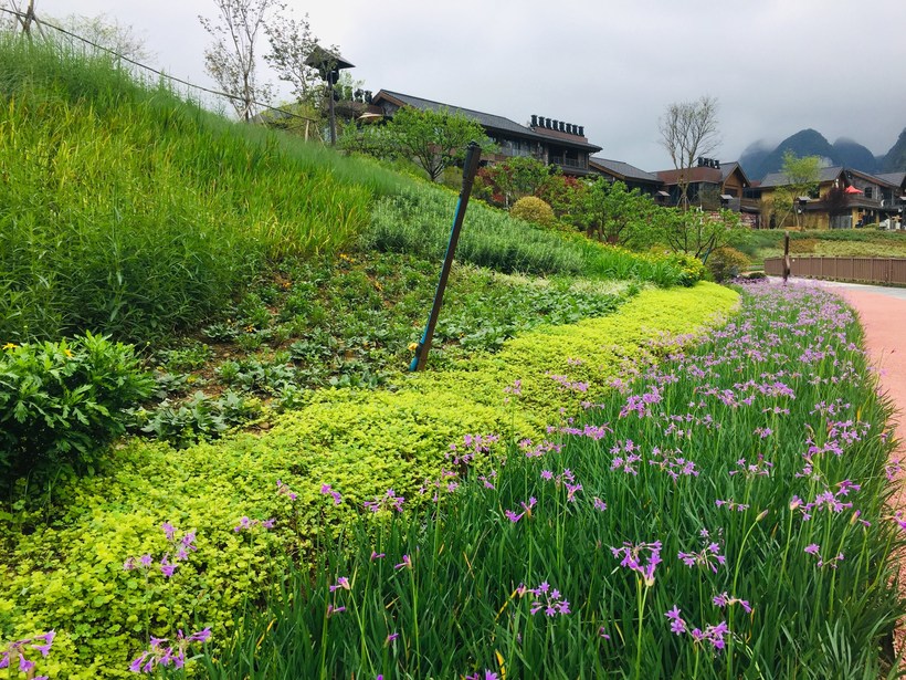 【最美四月天】遇见美好——三千漓，感受不一样的烟雨漓江