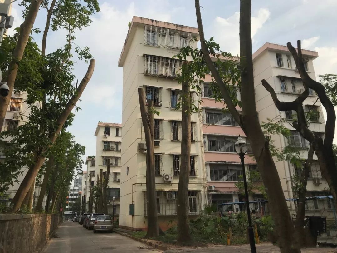 鍚嶆牎瑙ｈ,鑲叉墠瀛︽牎涓轰粈涔堣繖涔堝彈娆㈣繋