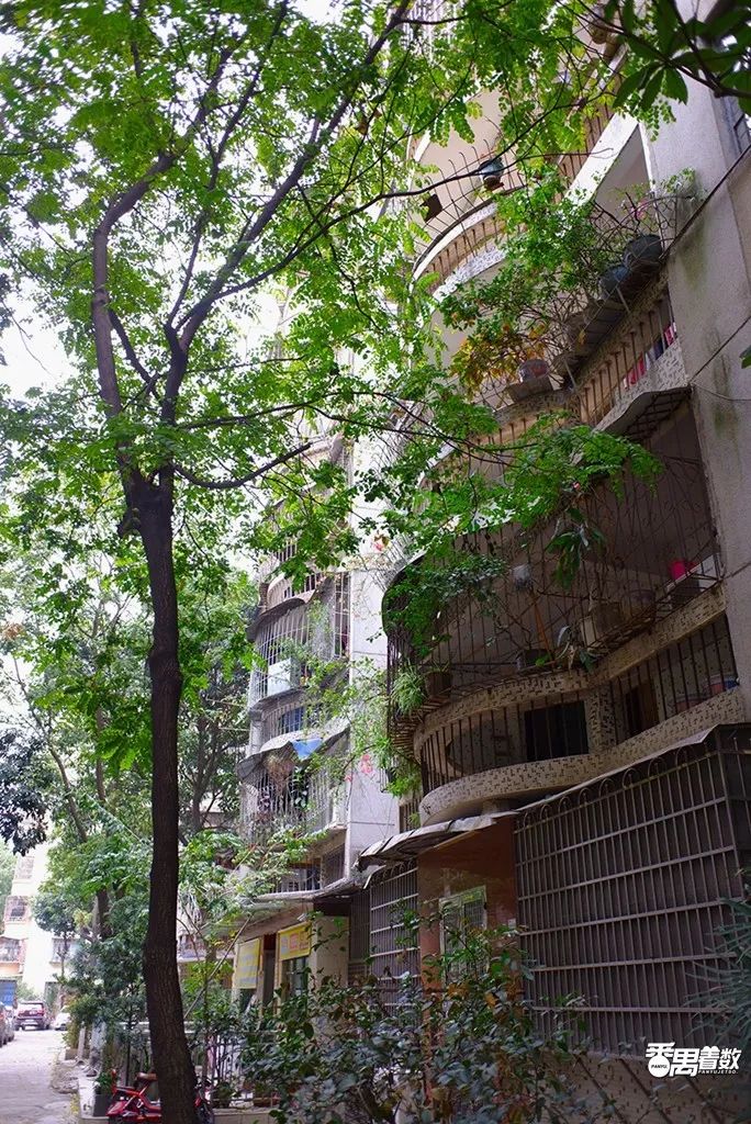 在番禺，住在康乐园的人最幸福！