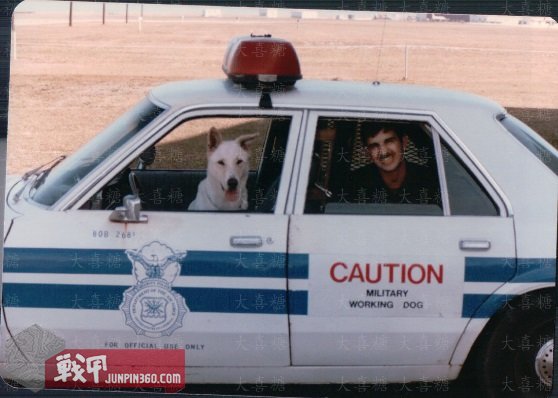 空军宪兵第四部分：安全部队制服配饰中的特色元素