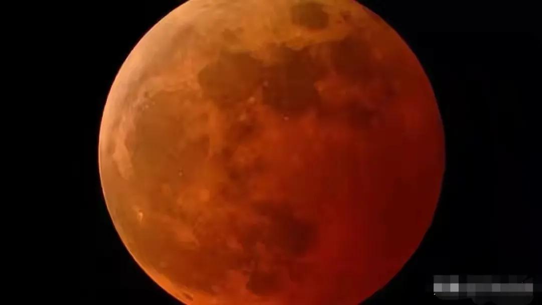 血月诗歌,血月姽婳作品全集在线阅读