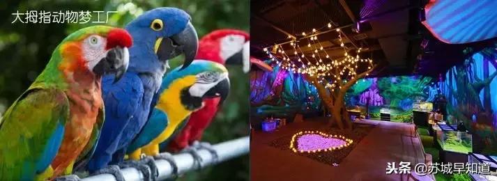 星光耀商业广场苏州店,星光耀商业广场招商中心姑苏