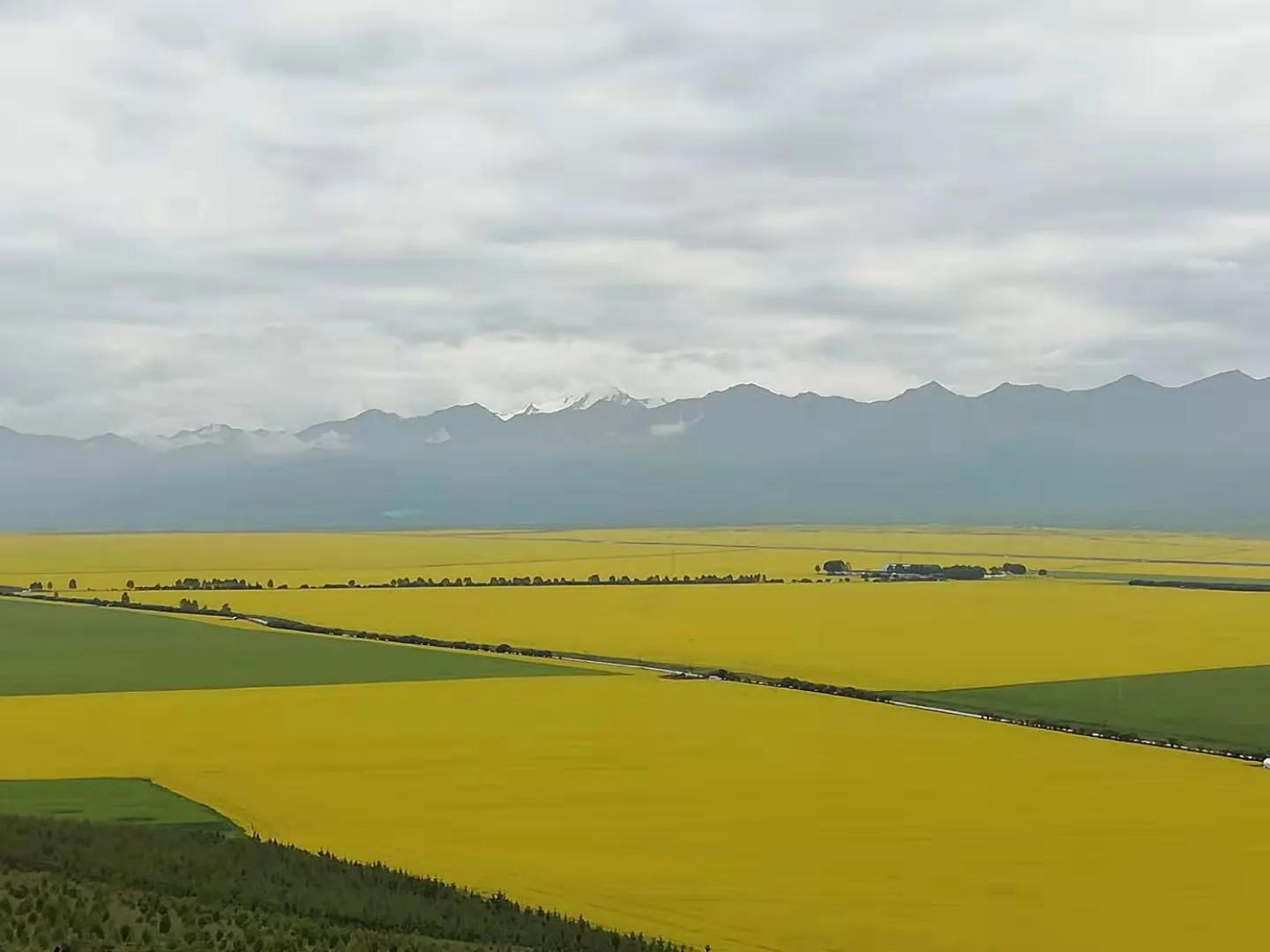 新疆南疆日记,新疆南疆旅游日记