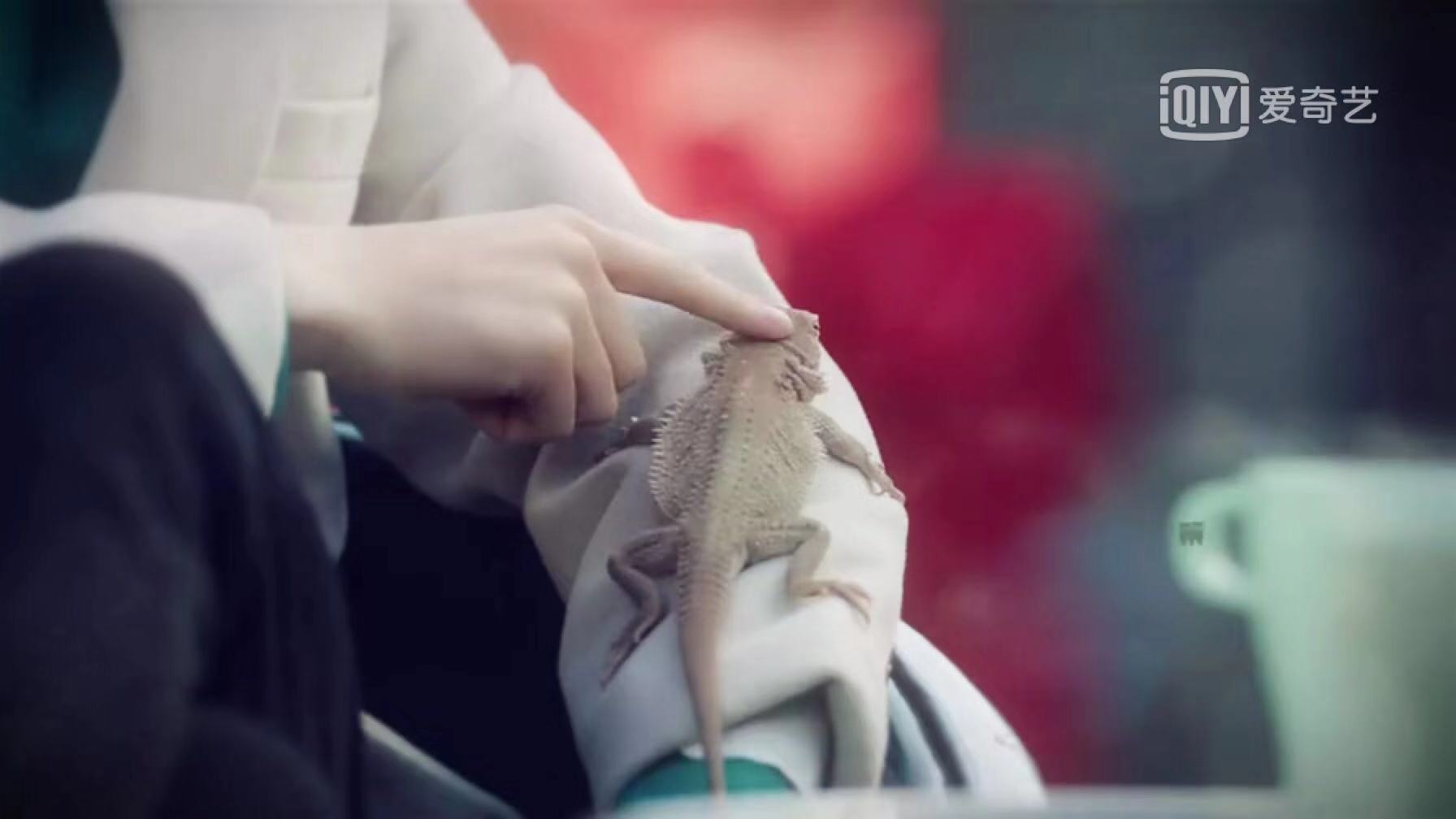 这回双“yan”爆裂的张PD，“事”大了！