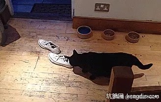 懒人回家需要几步,懒人懒到了极致