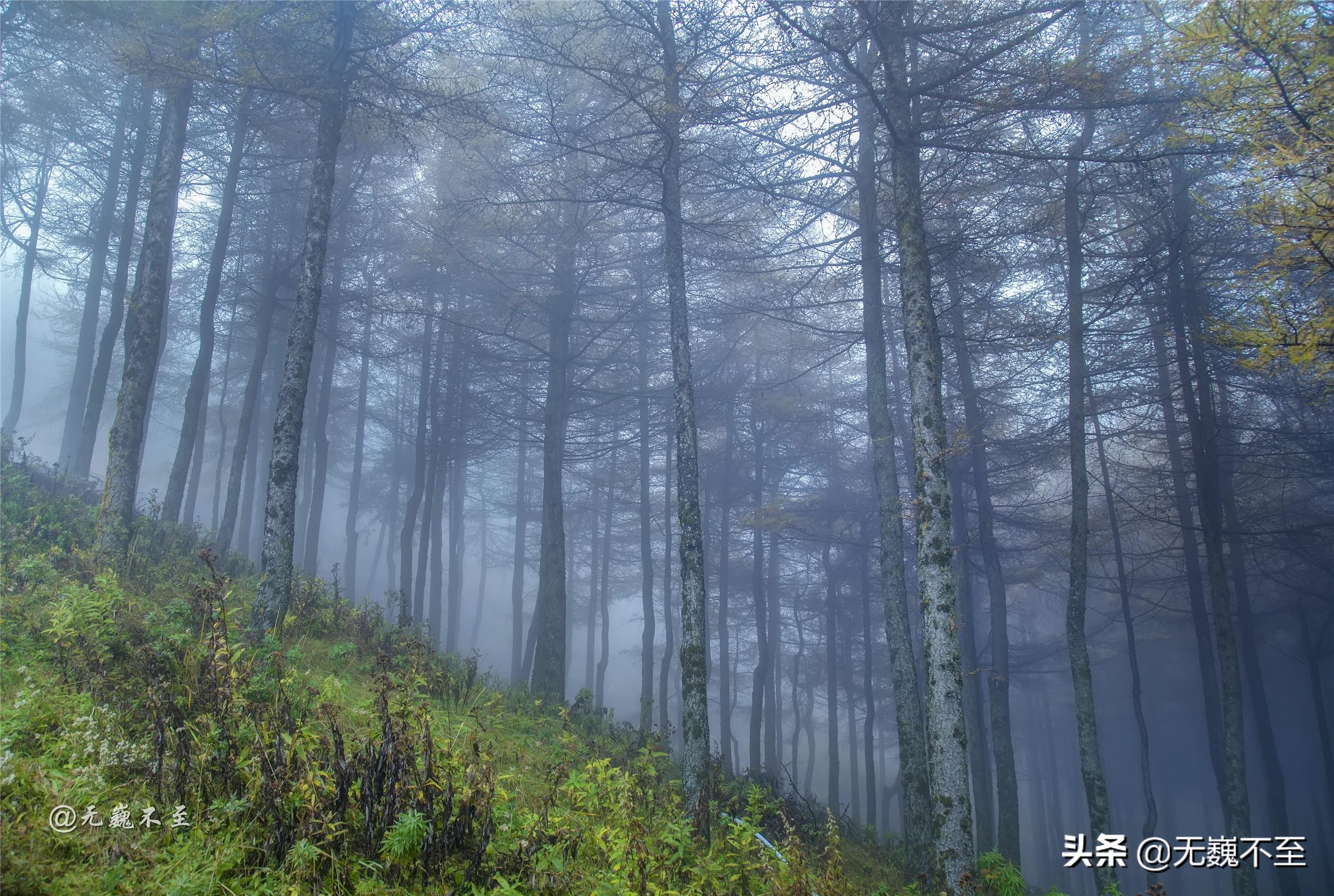 重走长征路宁夏固原,固原六盘山红军长征之路