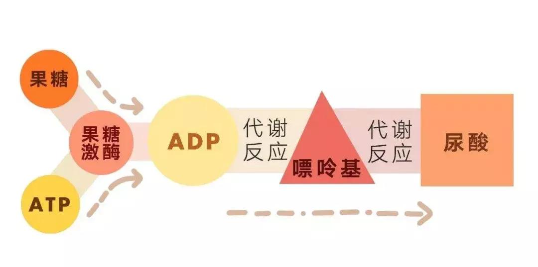 痛风发作急性期用降尿酸药物,养生堂痛风降尿酸代茶饮