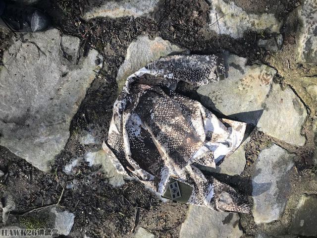 用照片说话：德国幻影公司“黄蜂II”Z4迷彩实际伪装效果如何？