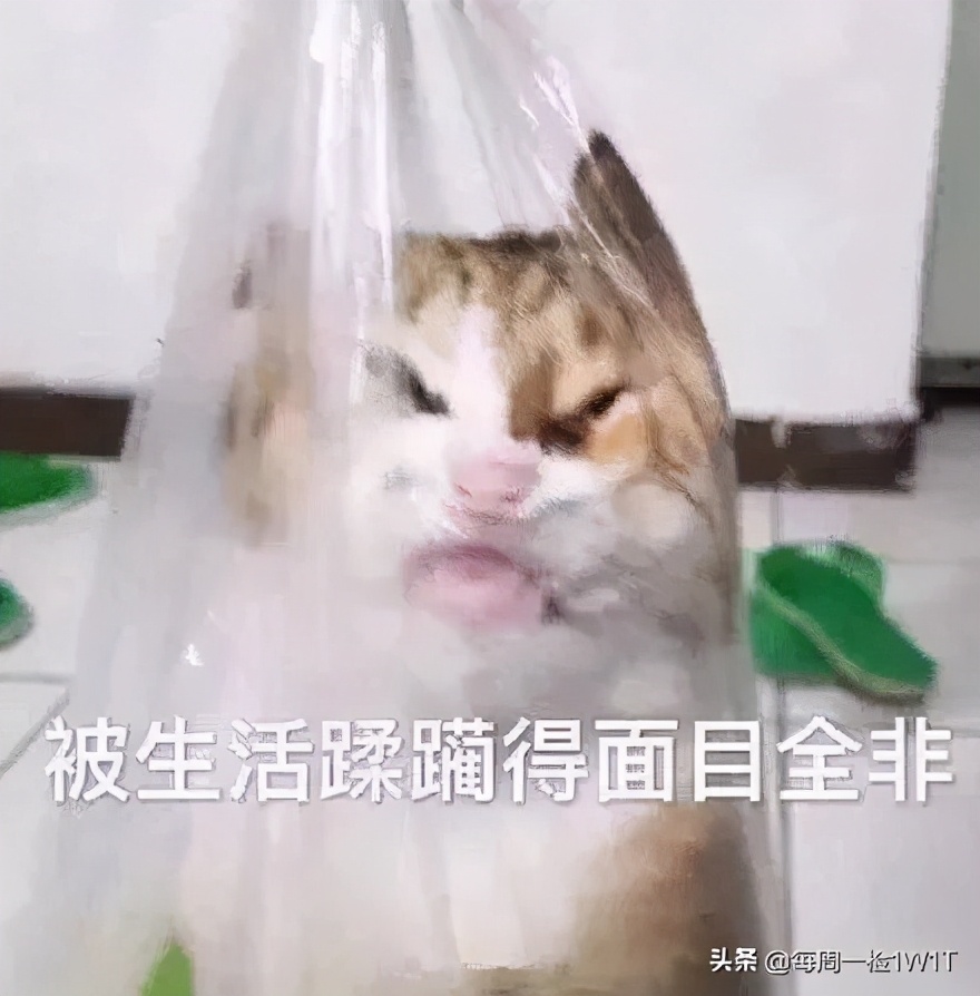 牛蛙检出禁用兽药吃了会怎么样,牛蛙检出禁用兽药警示