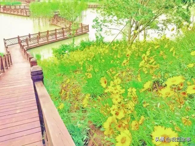 金寨是美丽的、有历史文化的，但这样的金寨你绝对没看过