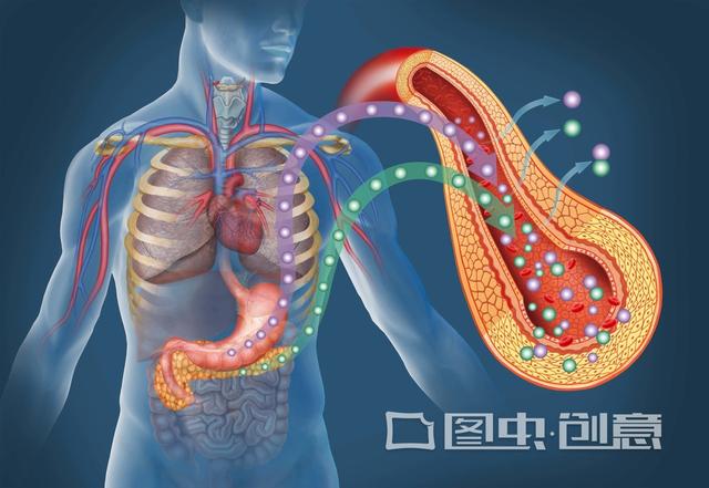 二甲双胍你需要了解这11点,关于二甲双胍你必须记住这8条