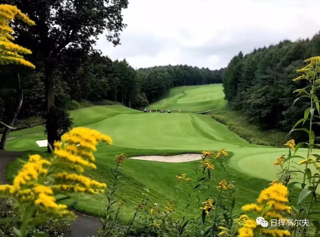 了解高尔夫运动的基本知识,高尔夫球基本知识