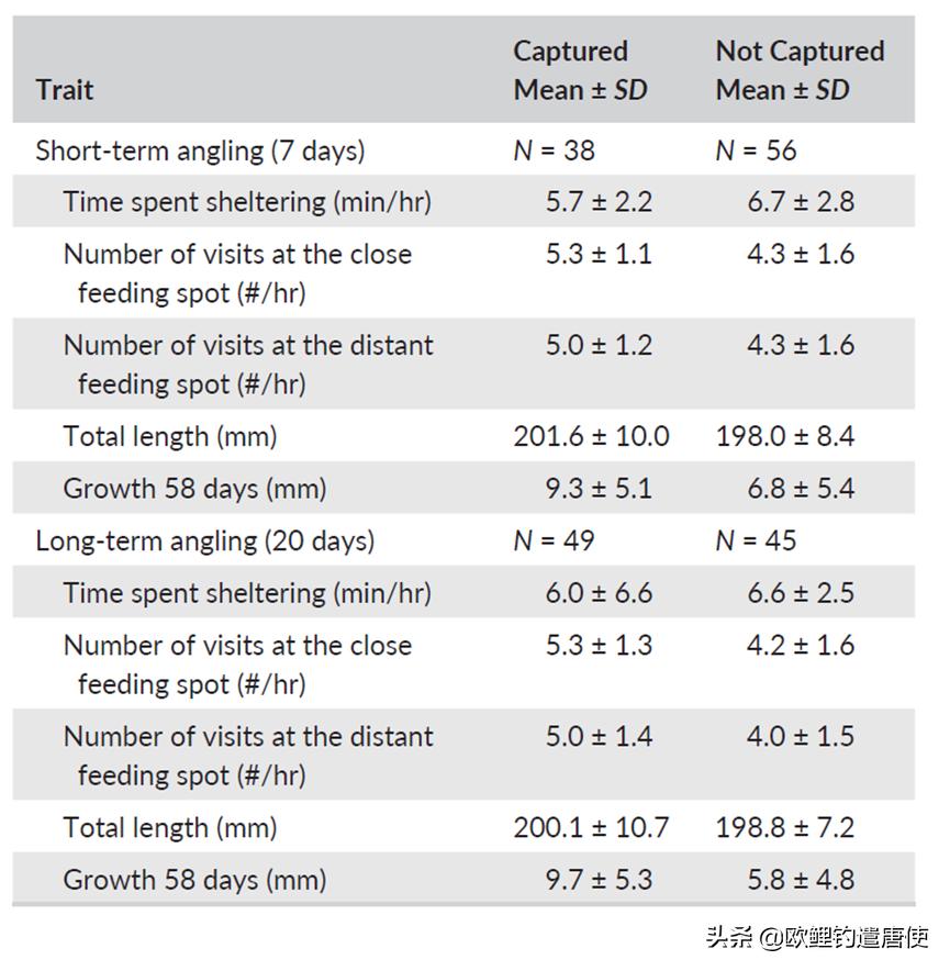 夏季下雨过后钓鱼应如何选择钓位,夏季垂钓这3个钓位上鱼超多
