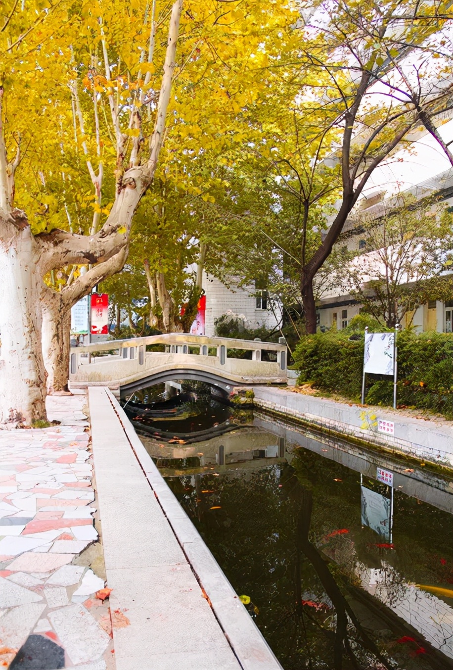 最美的风景美丽的校园,最美的风景就是校园