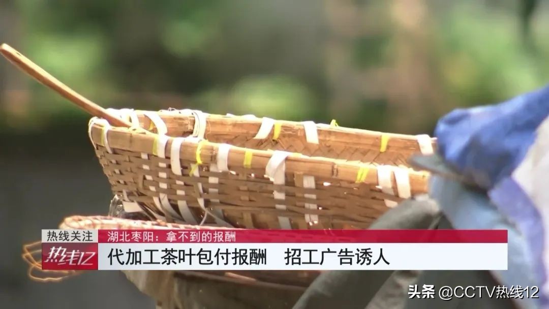 在家代工包装茶能月入过万？男子拖家带口干了一星期，仅收到100余元