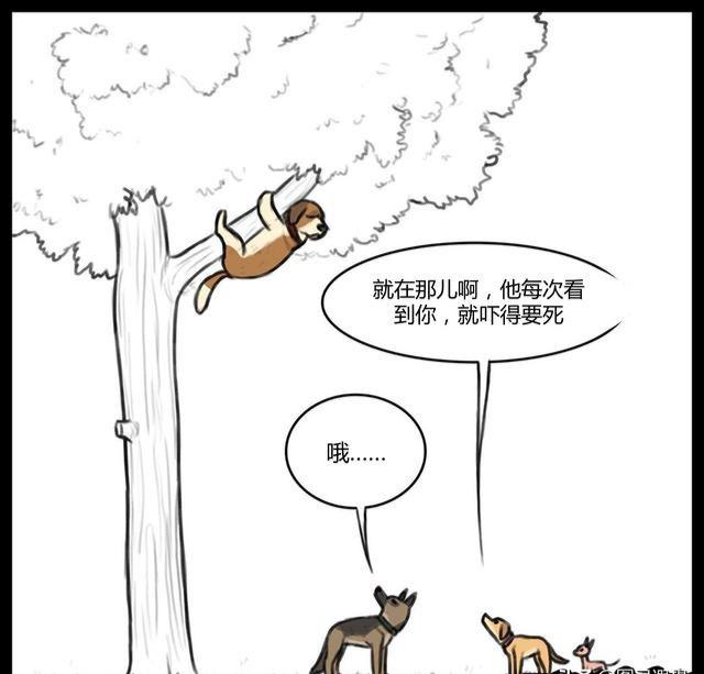 大狼狗小奶猫,大狼狗和小奶猫第一集