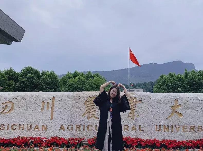 高考志愿20个,高考志愿40个