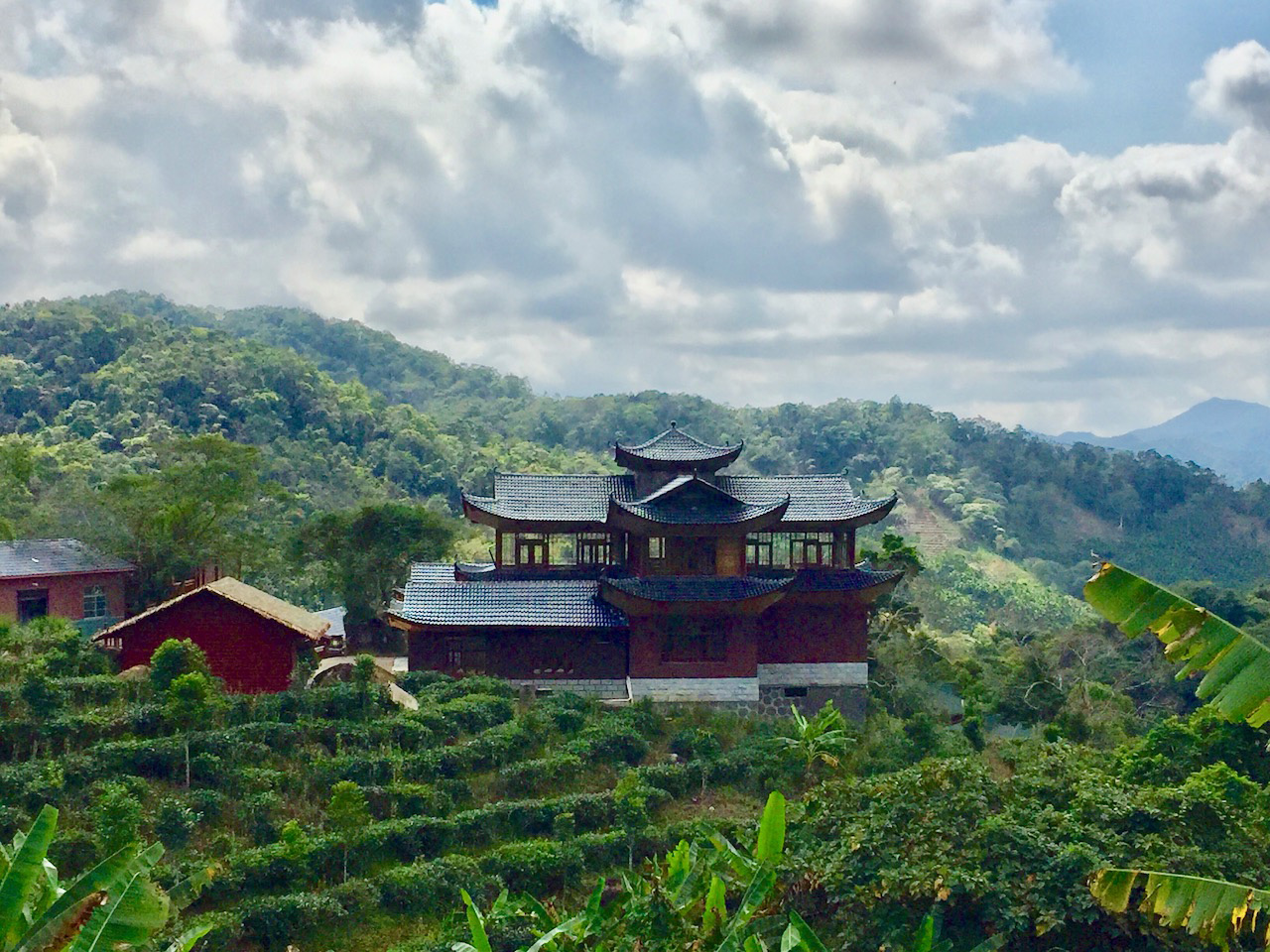 海南候鸟旅行,内陆候鸟自驾海南过冬
