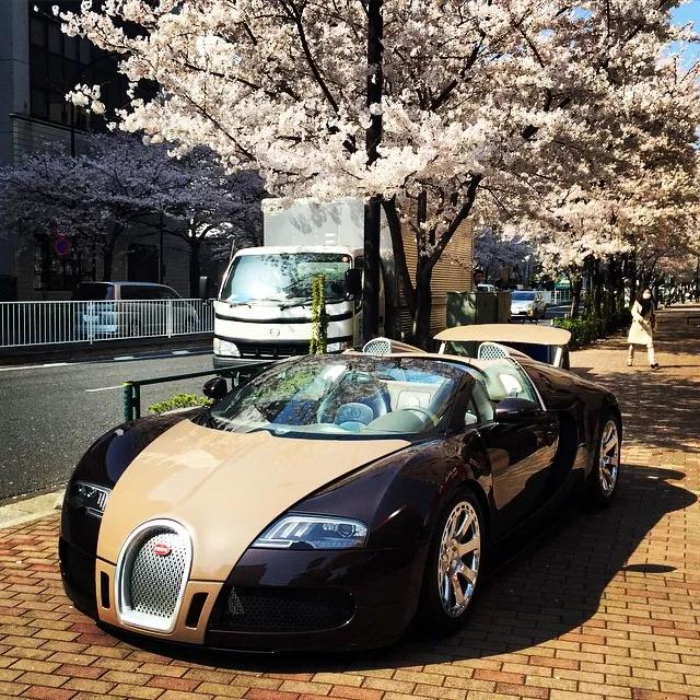 日本身价2220亿的富豪网上征婚，网友表示：“我可以！”