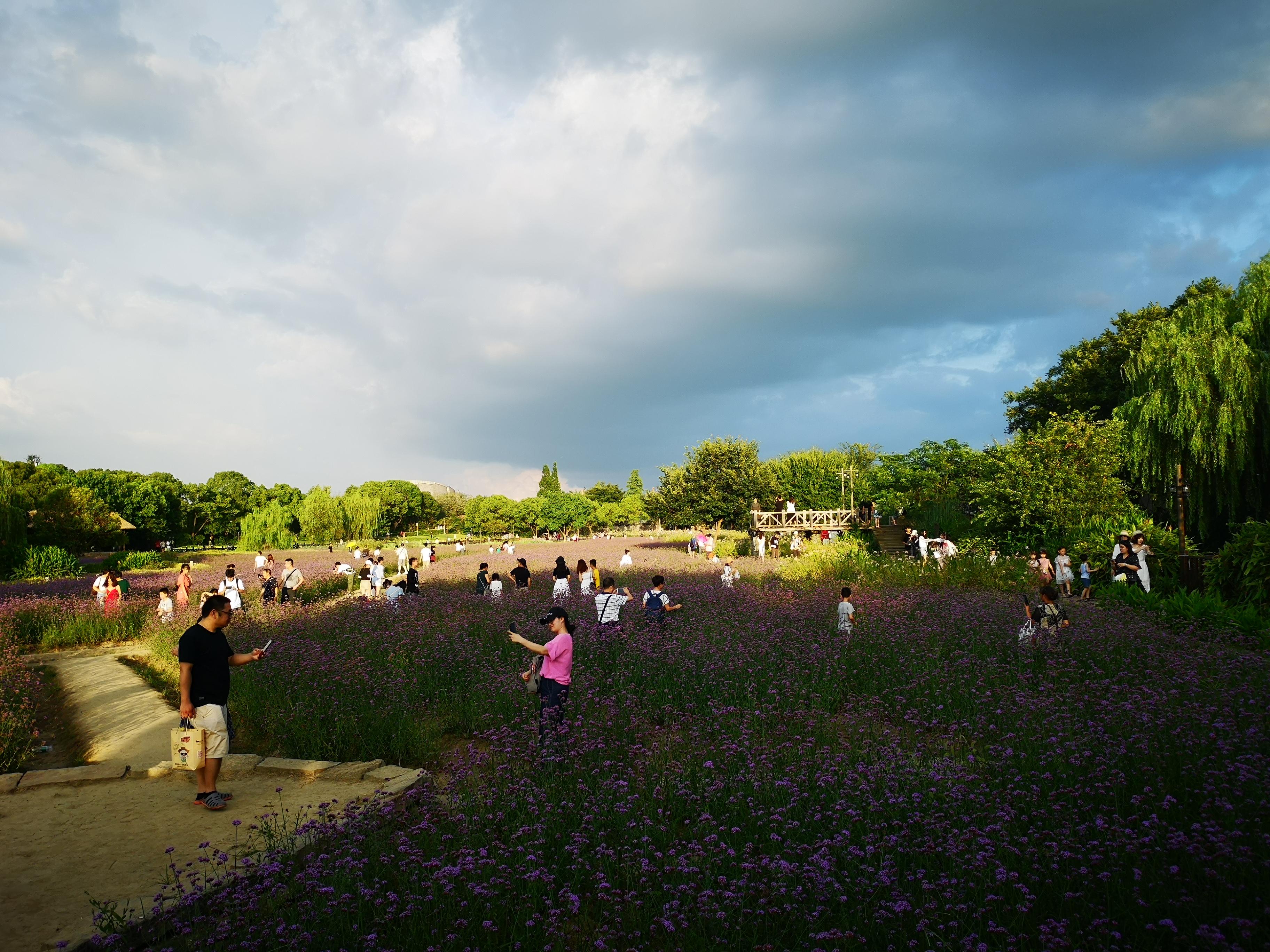 第一次去乌镇去东廊还是西廊,乌镇第一次旅游攻略