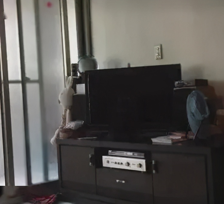 养黑猫出现的各种幻觉,养一只黑猫是什么体验