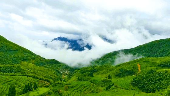 有着双重人生的小城青田，你对它的实力一无所知