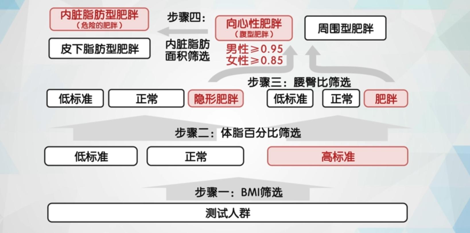 肥胖指数bmi超过多少不容易减肥,各国用bmi来判断肥胖