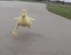 与聊了三个月的网友奔现,聊了一个星期的网友要奔现了