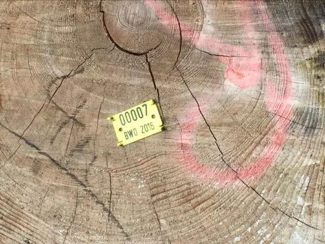 瑞士卢森地板和圣象哪个好,瑞士地板品牌卢森价格