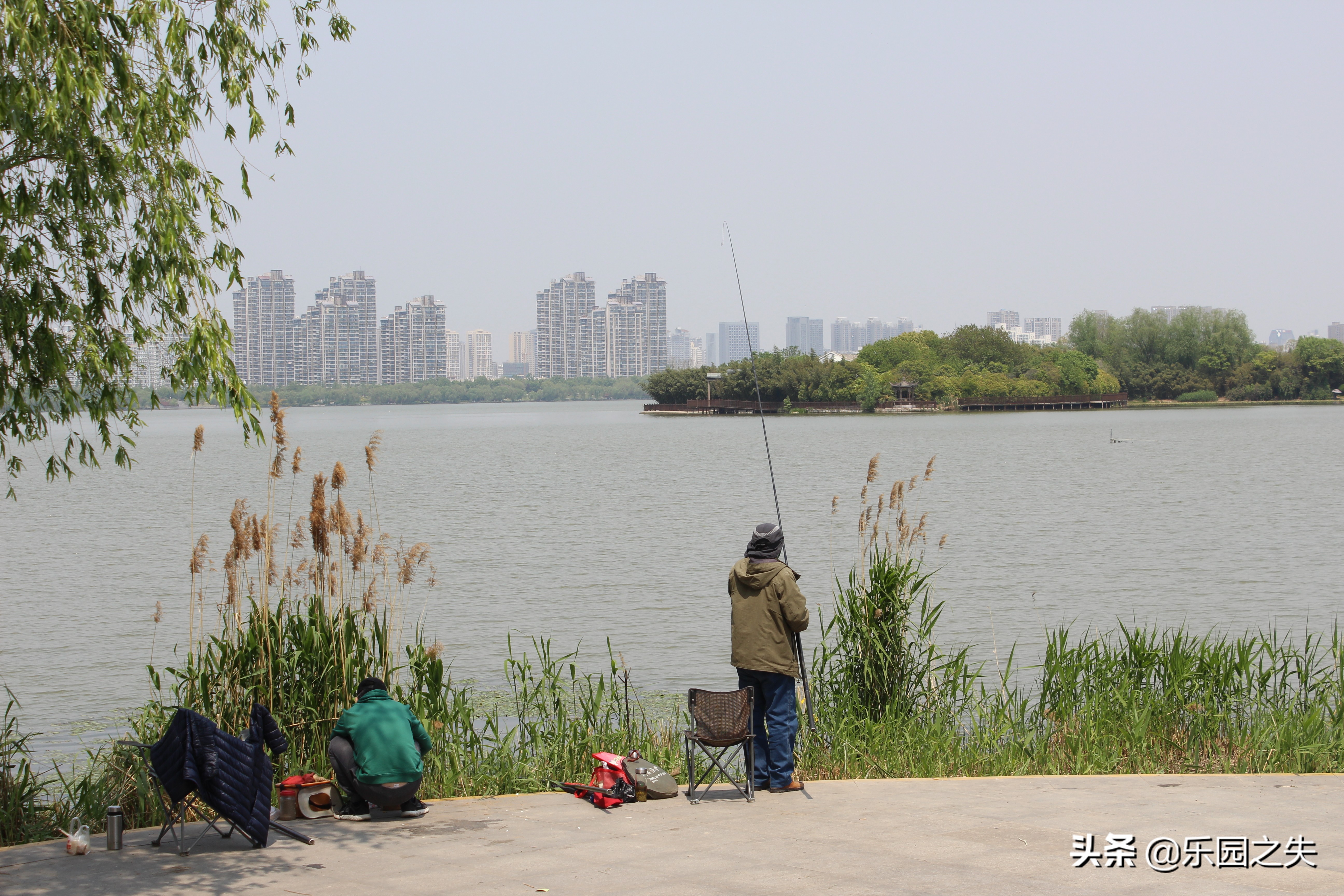野河小鱼超多怎么钓,云龙湖玉带桥钓位