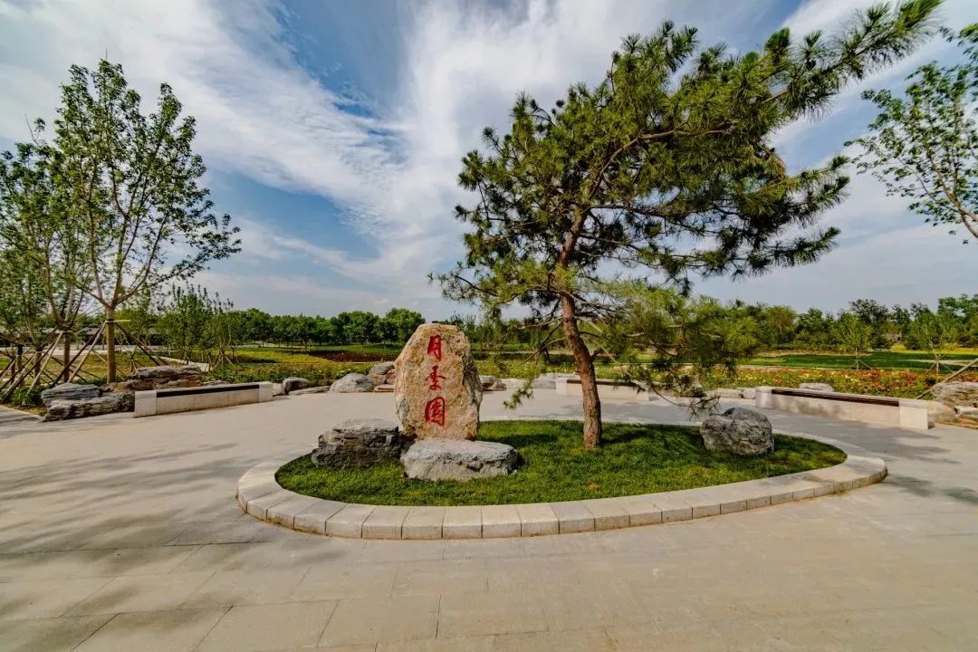 附近免费景点踏青网红打卡地,北京周边的四季花海