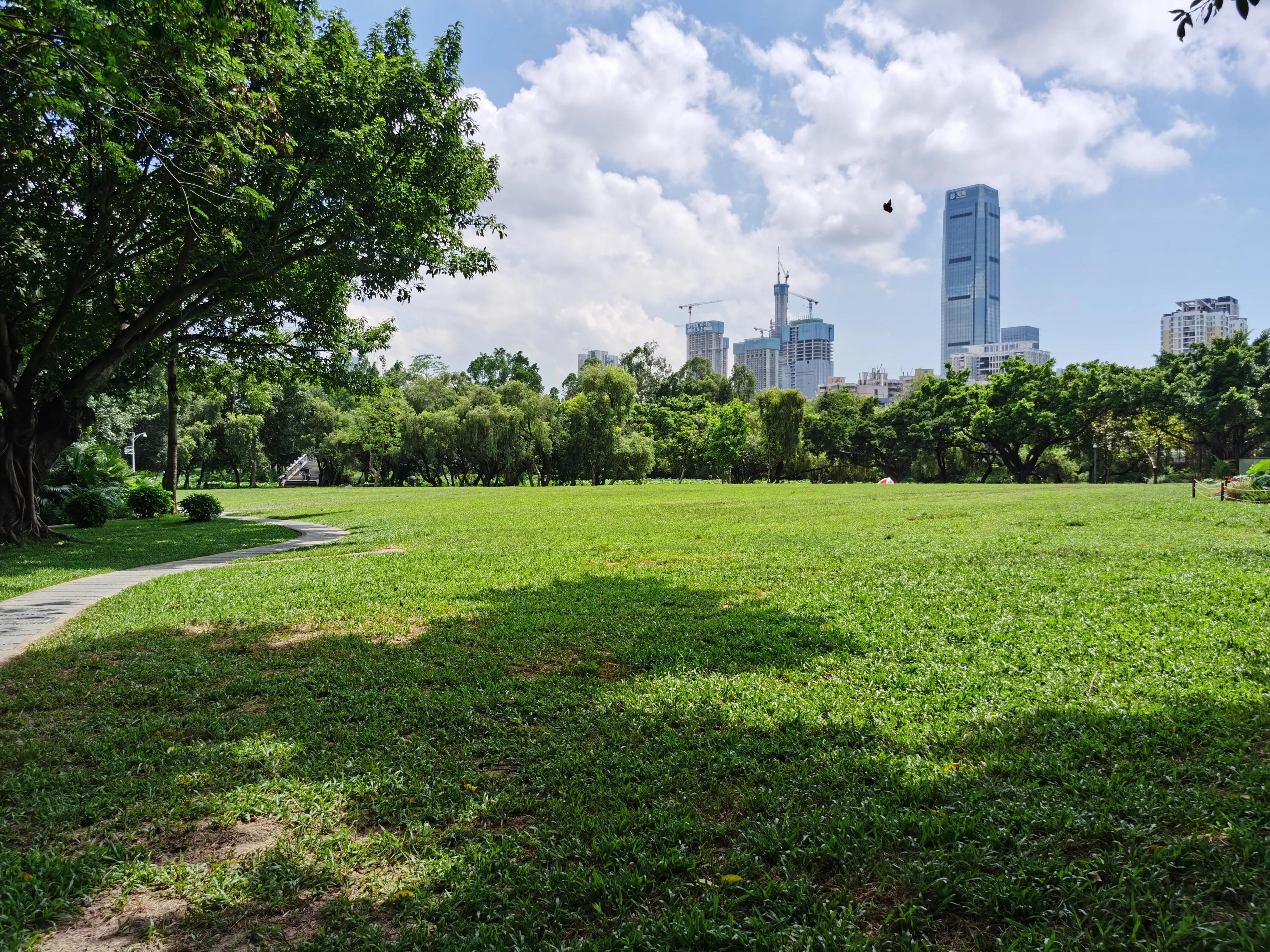 深圳洪湖公园荷花地址,深圳洪湖公园荷花排名