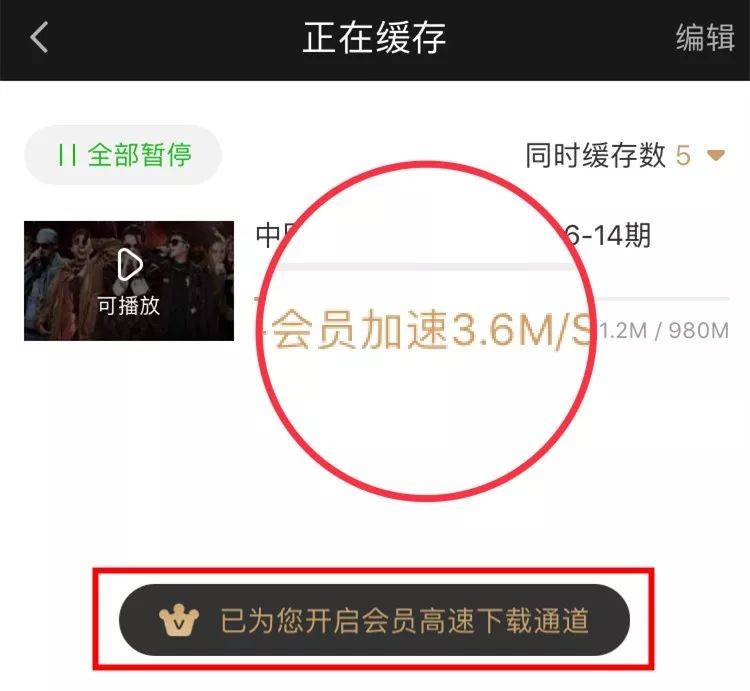 爱奇艺京东会员双11,爱奇艺vip一年99元双11