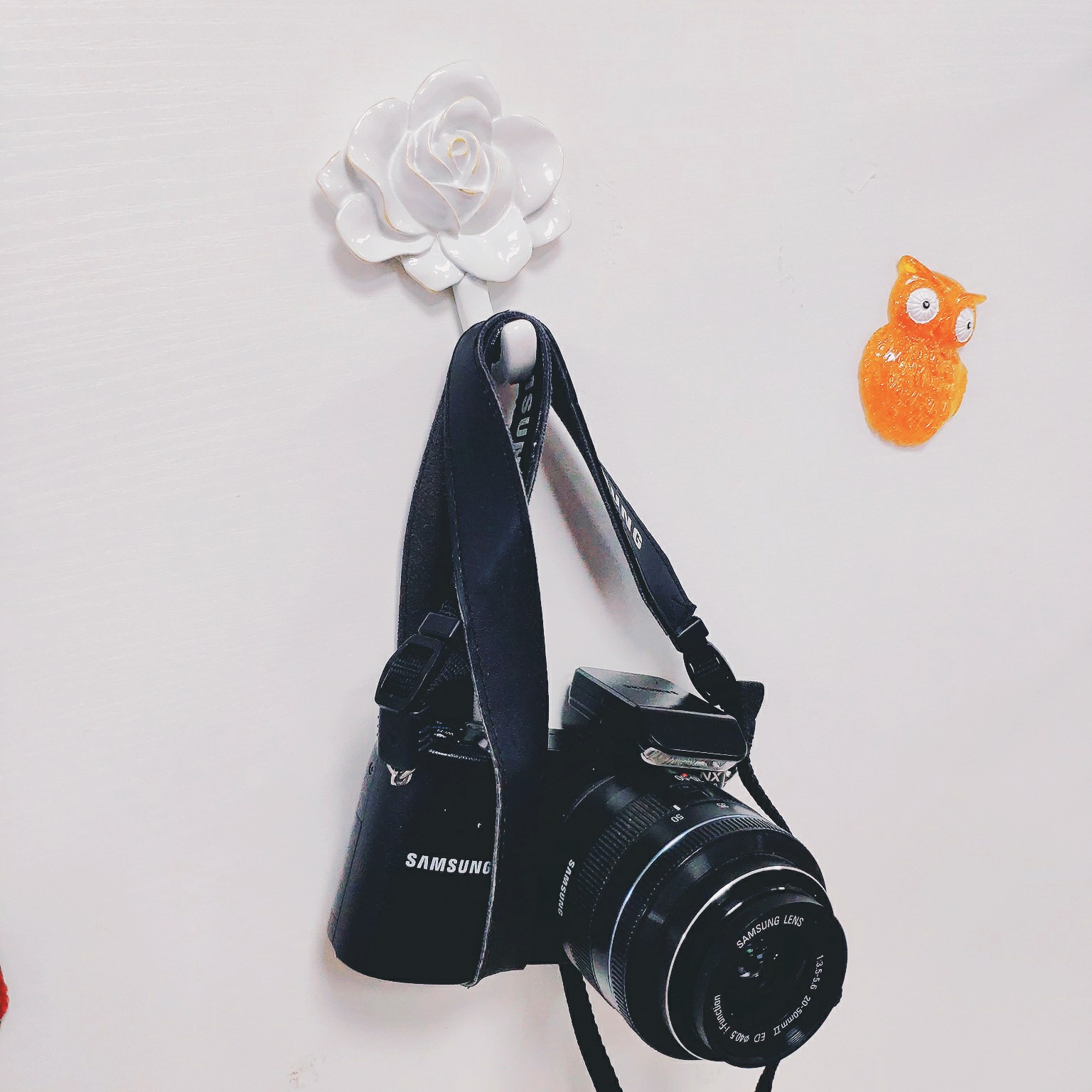 不丧本志，你和我的好物