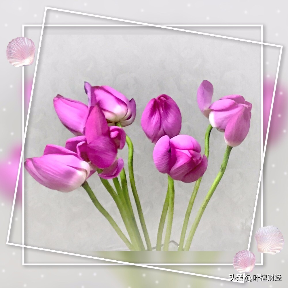 相信牛市会有前途吗,往后还会有全面牛市吗雪球