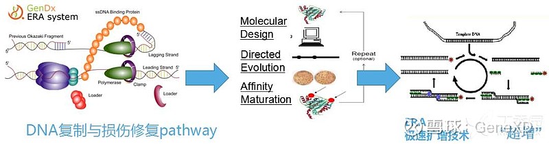 全场硬菜!分子诊断技术全解析